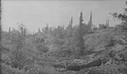 1200' - 1400' section, No. 2 vein looking West across workings. Great Bear Lake, N.W.T Aug. 1931