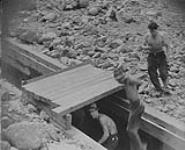 Blasting loose rocks at Bullion: - Entering temporary cover erected in the flume, Quesnel River, B.C 1938