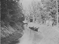 Water & Pipe Lines: - Along Bullion water trench, near pit, Quesnel River area, B.C 1938