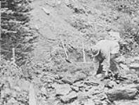 Giddings panning a promising gravel bank near Barkerville, B.C 1938