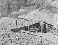 Small shaft placer operation, Nutall shovels gravel from shaft into barrow near Barkerville, B.C 1938