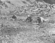 Three snipers panning at Stout's gulch near Barkerville, B.C 1938