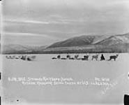 Russian reindeer being taken by U.S. to Alaska Dec. 1898