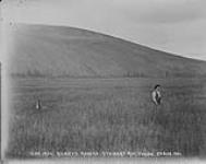 Henry's ranche Stewart River, Yukon 29 Aug. 1901