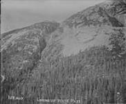 Looking down White Pass 1900