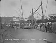 Durban, Transportat Wharf June 1902