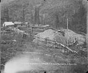 10 below Discovery Gold Bottom Creek 2 June 1903