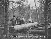 Harris Camp, Peter Co. (lumbering) Oct. 1910