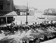 Brockville Market Sept. 1913