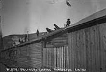 Prisoners Roofing Aug. 1901