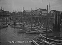 Frazer Salmon Fleet July 1900