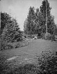 A garden at McMurray, Alta., August, 1933 Aug. 1933