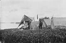 Camp at Peace Point, Peace River, Alberta 1916