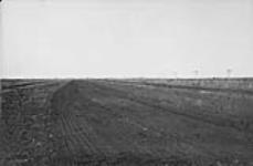 Peat drying of field at Alfred, Ontario 1921