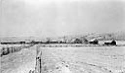[Lawrence's Farm, Vermilion, Alta., 1913] 1913