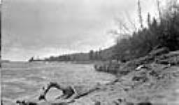 Peace River just below Vermilion Chutes [Alta.] 1916