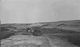 Cattle Dip, [Corral], Alta. 1918 1918