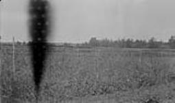 Experimental Farm, Farm, Fort Vermilion, 1918 1918