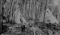 Soldiers' Settlement Camp, Copeau River, Sask. 1919
