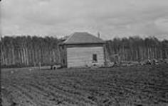 House built of hewed logs, N.W. 1/4 sec. 8, Tp. 52-25-2 [about 4 mi. S. of Paddockwood, Sask.] 1920