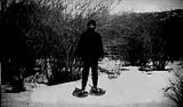 Man on snowshoes Crow's Nest Pass, [Alta.] 1920