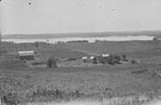 Farm, Sec. 8, Tp. 56-8-4 1920 1920