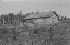 Russian Homesteader's house, N.E. 1/4, Sec. 2-60-13-4. [about 4 mi. W. of Spedden, Alta.] n.d.