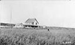 Hudson's Bay Post Green Lake, Sask. [showing oat field] 1921