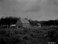 Farm, S.E. 1/4 Sec. 1-Tp. 52-R15. [about 6 miles W. of White Fox, Sask.] 1921