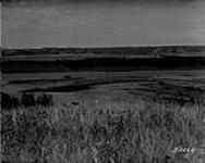 Panorama [east 1/2] Assiniboine River Valley, near Miniota, Man. 13-26 Pr