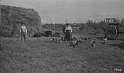 Keelings Ranch, B.C. 19-78-13-6. [in Alta. about 8 mi. E. of Dawson Creek, B.C.] 1921 1921