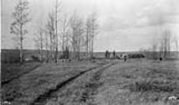 Mathew's homestead (northeast 5-80-16-6) [about 2 mi. N. of Sunrise Valley, BC] 1921