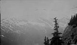 Snowshoe Creek Basin, B.C 1921