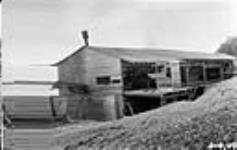 Sawmill at Lac la Biche, [Alta.] 1921