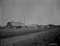Farm and buildings, Sask. N.E. Sec. 9, Tp. 40-18-2. [about 3 mi. N.W. of Naicam, Sask.] 1922