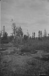 Graves east of Great Slave Lake, N.W.T 1922
