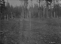 Cree Indian graveyard on Sturgeon - Weir River, Sask. Tp. 67-4-2