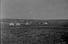 Camp in Sand hills Sec. 29 Tp. 15-14-4 [near Scandia, Alta.] 1922