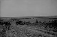 Alta. Tp. 50-10-4 looking north 1923