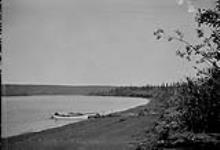 Mud beach and forest on channel leading to East branch of Mackenzie Delta, N.W.T 1923
