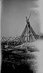 Frame for Eskimo Tent on Arctic Coast near Shingle Point, Y.T 1923