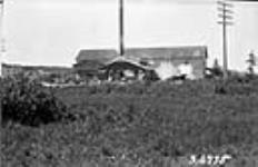 12-34-31 Pr. Sawmill [about 1 mile] north of Arran, Swan River, Sask 1923