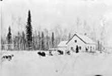 [Exploratory Survey between Great Slave Lake and Hudson Bay, Districts of Mackenzie & Keewatin.] Party with dogs at Fort MacKay, Alta