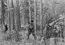[Exploratory Survey between Great Slave Lake and Hudson Bay, Districts of Mackenzie & Keetwatin.] Cutting wood for Str. "Argo" on Slave River, Oct. 2nd