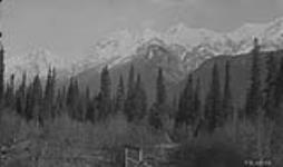 Mts. Vaux and Chancellor from Beaverfoot valley, B.C 1925