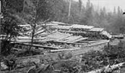 Telegraph poles - cedar, cut south of Davis Lake, B.C. 4-2-7 1925