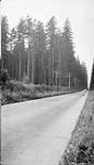 Pacific Highway through green timber, 5 miles south of New Westminster, B.C., 1926