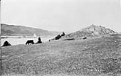 Site of old Fort Ste Anne, Cape Breton, N.S May 1930