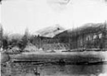 Spray River Bridge, Banff, Alta. a Cascade Mountain 1902