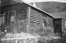 Miners' Houses and flower gardens, Dawson, Y.T